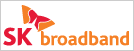 Sk Broadband Co Ltd