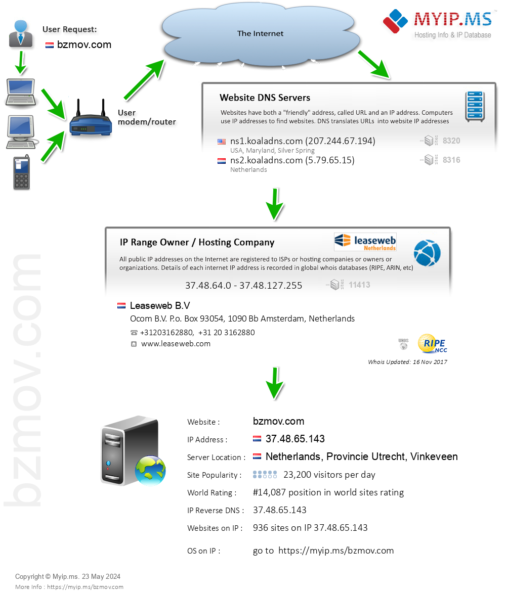 Bzmov.com - Website Hosting Visual IP Diagram