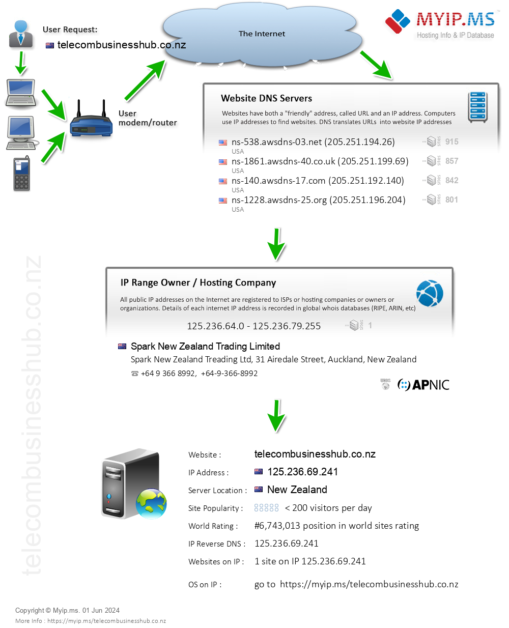 Telecombusinesshub.co.nz - Website Hosting Visual IP Diagram